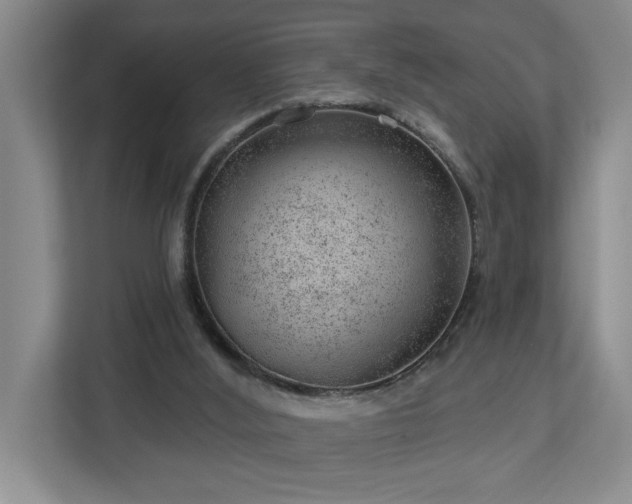 X0000112920012200908241235