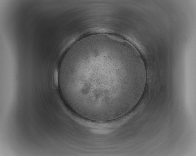 X0000112920014200908241235