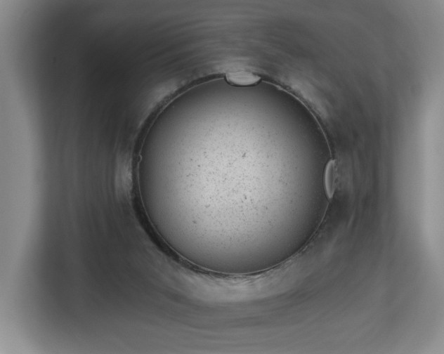 X0000112920015200908241235