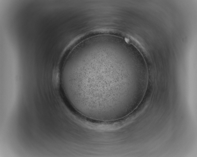 X0000112920016200908241235