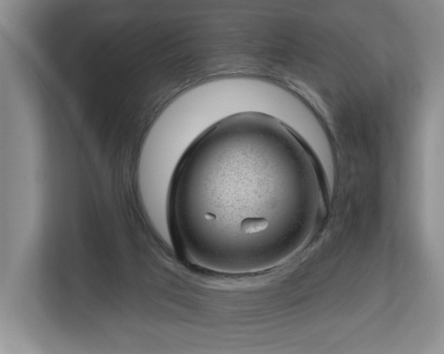X0000112920017200908241235