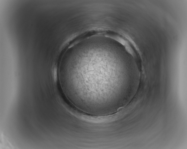 X0000112920019200908241235