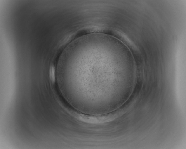X0000112920022200908241235