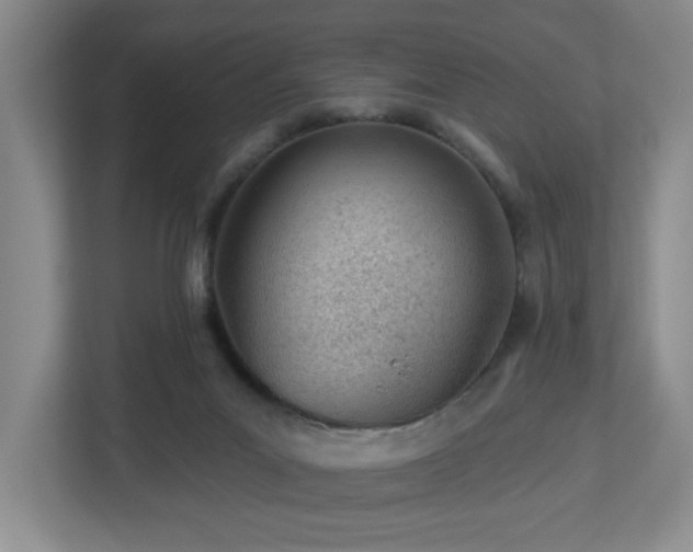 X0000112920023200908241235