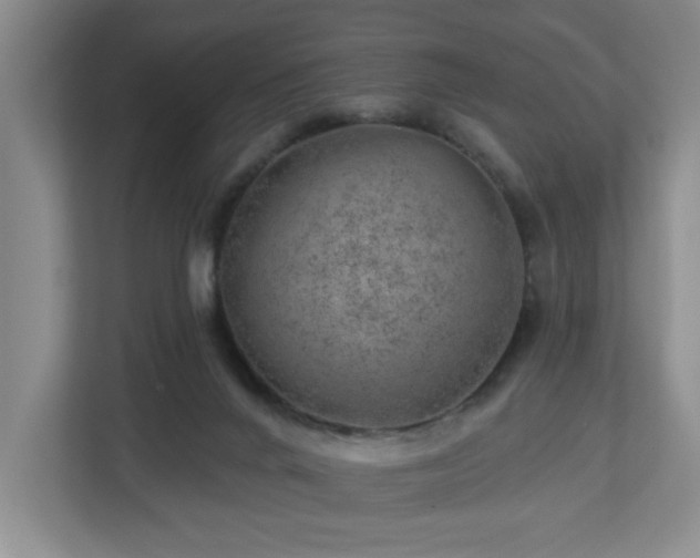 X0000112920024200908241235