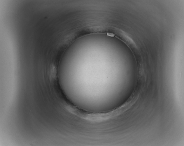 X0000112920025200908241235
