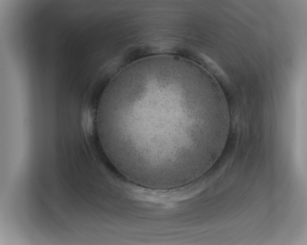 X0000112920026200908241235