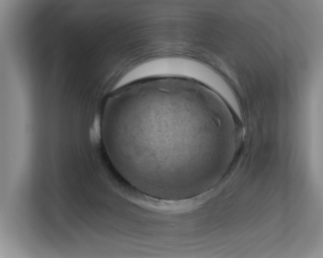 X0000112920027200908241235