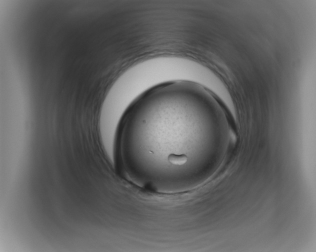 X0000112920029200908241235