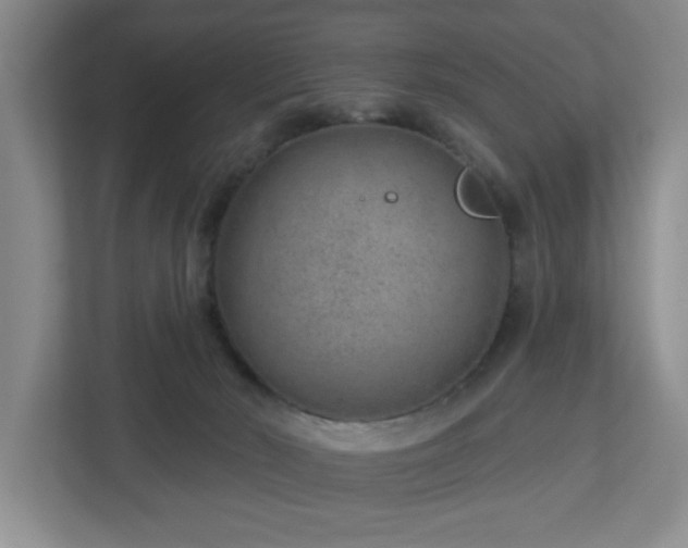 X0000112920030200908241235