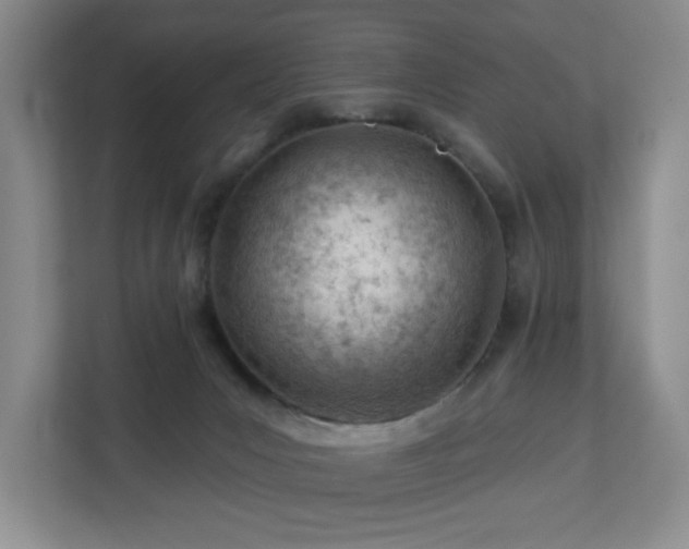 X0000112920031200908241235