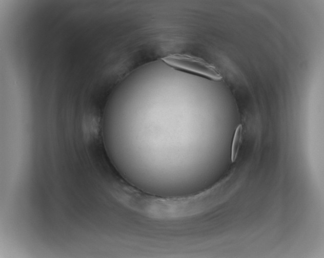 X0000112920033200908241235