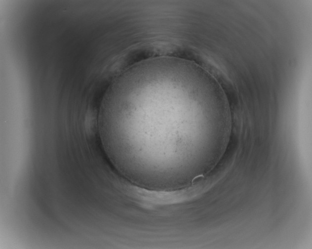 X0000112920034200908241235