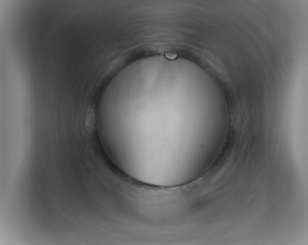 X0000112920036200908241235