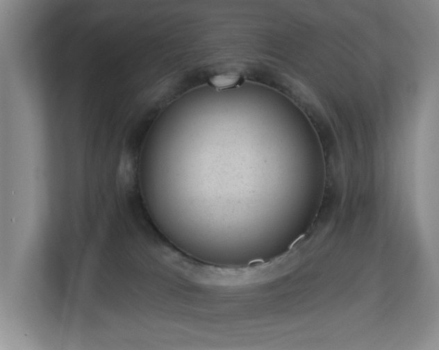 X0000112920037200908241235