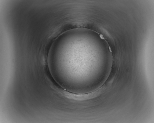 X0000112920039200908241235