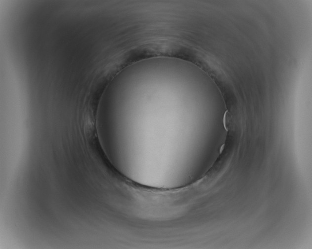 X0000112920040200908241235