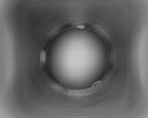 X0000112920041200908241235