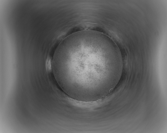 X0000112920042200908241235