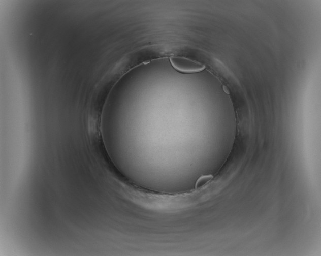 X0000112920044200908241235
