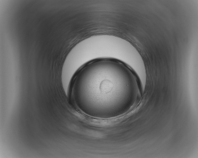 X0000112920045200908241235