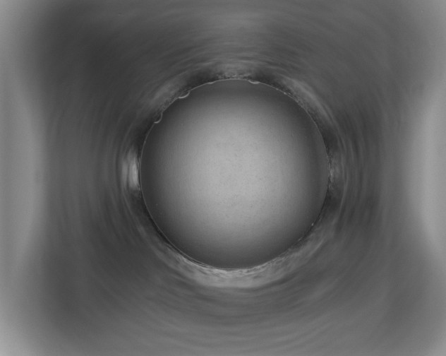 X0000112920046200908241235