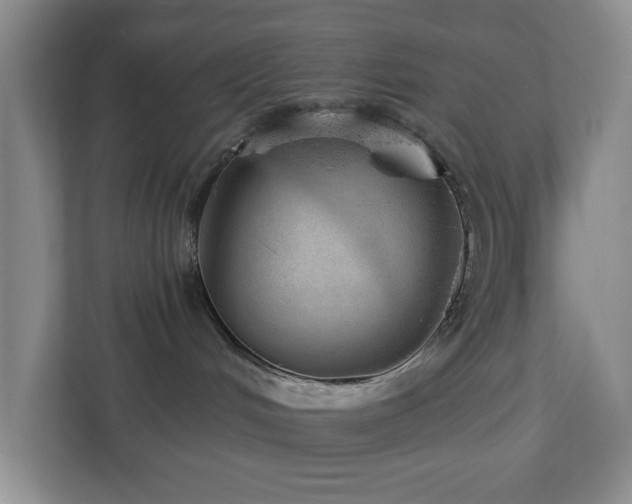 X0000112920048200908241235