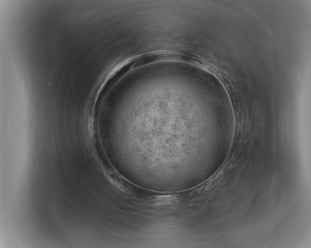X0000112920050200908241234