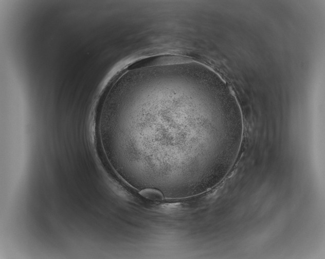 X0000112920054200908241234