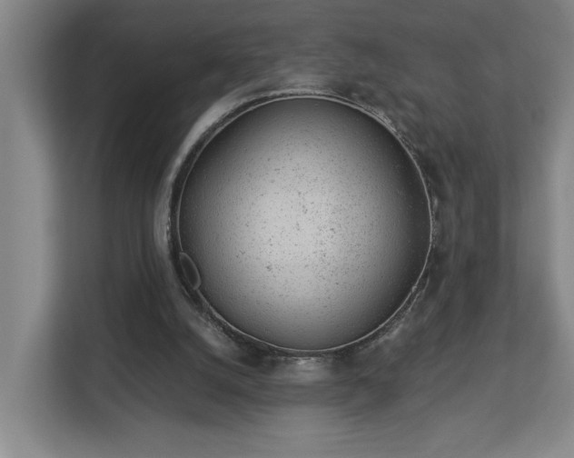 X0000112920056200908241234