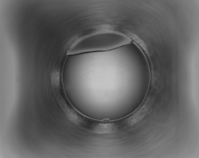 X0000112920057200908241234