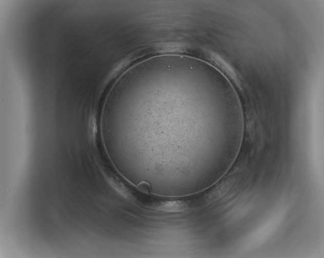 X0000112920059200908241234