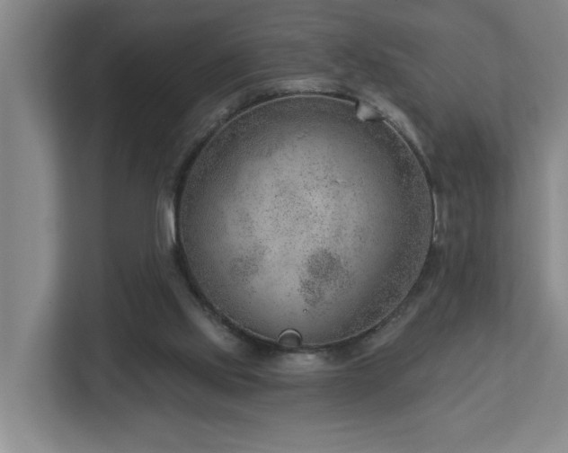 X0000112920061200908241234