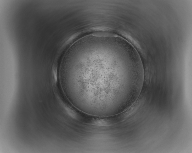 X0000112920062200908241234