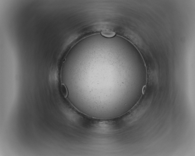 X0000112920064200908241234