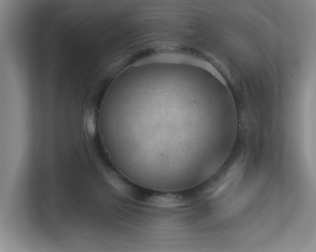 X0000112920069200908241234