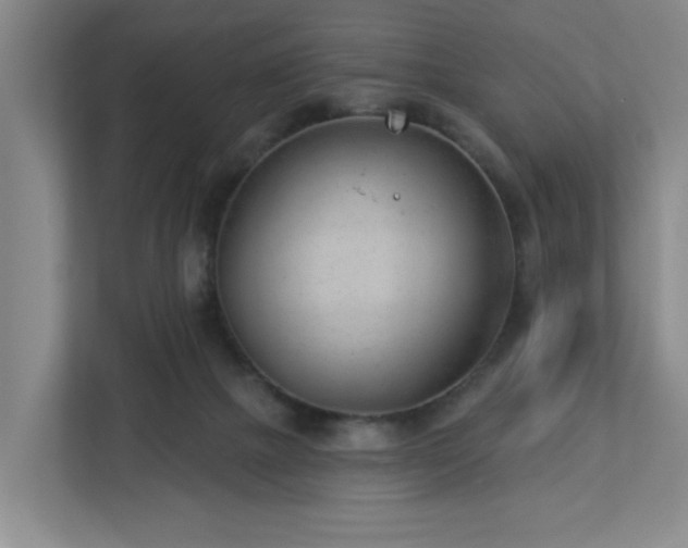 X0000112920073200908241234