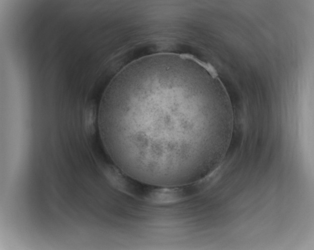 X0000112920082200908241235