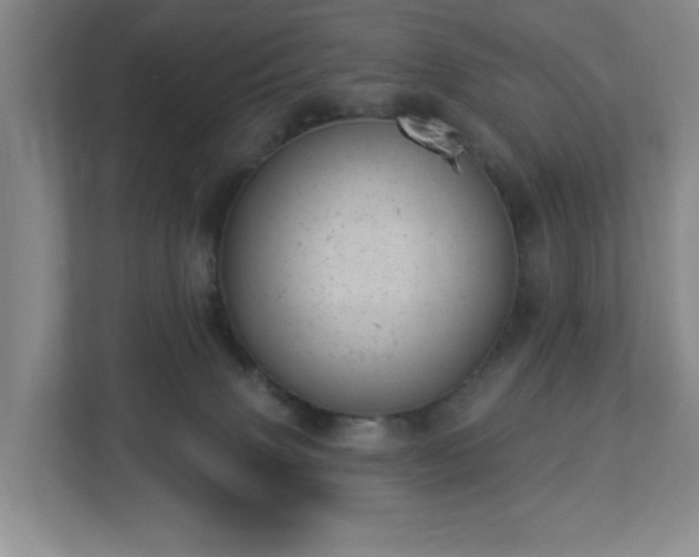X0000112920083200908241235
