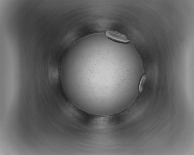 X0000112920084200908241235
