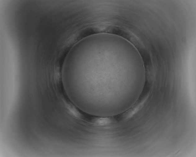 X0000112920085200908241235