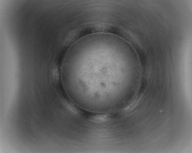 X0000112920086200908241235