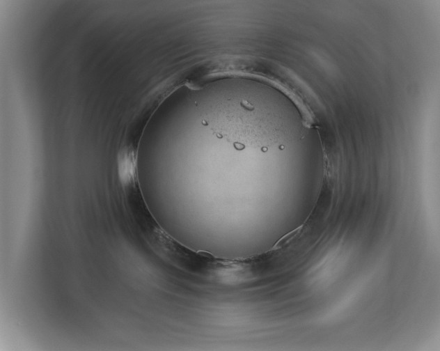 X0000112920095200908241235