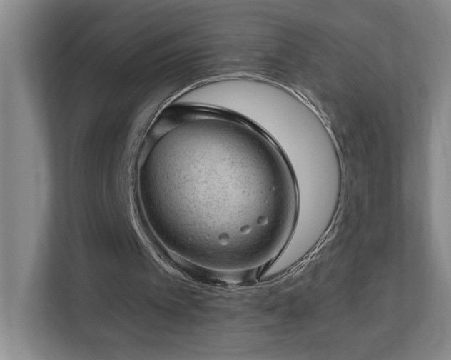 X0000112920097200908241234