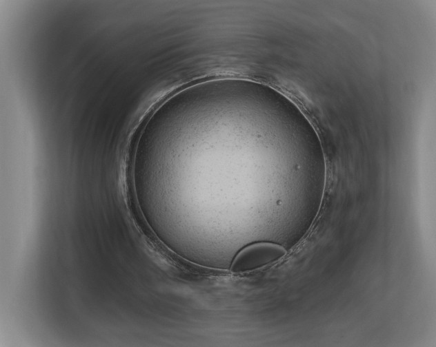 X0000112920098200908241234