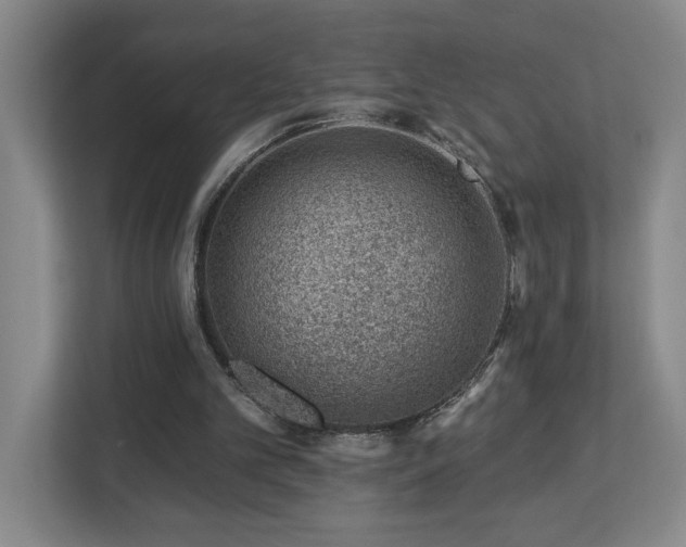 X0000112920101200908241234