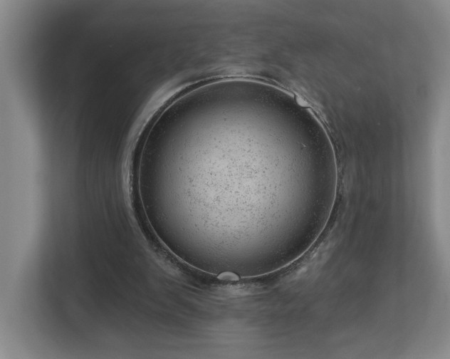 X0000112920103200908241234