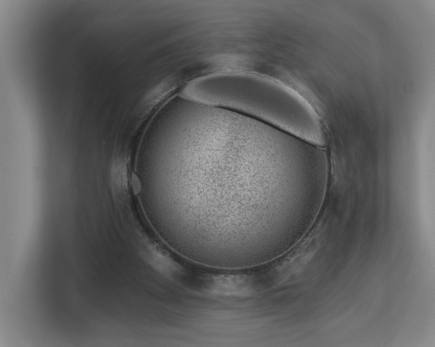 X0000112920105200908241234