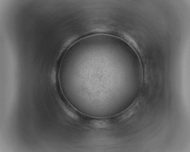 X0000112920106200908241234