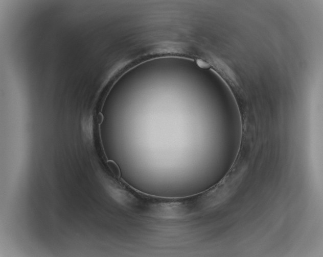X0000112920108200908241234
